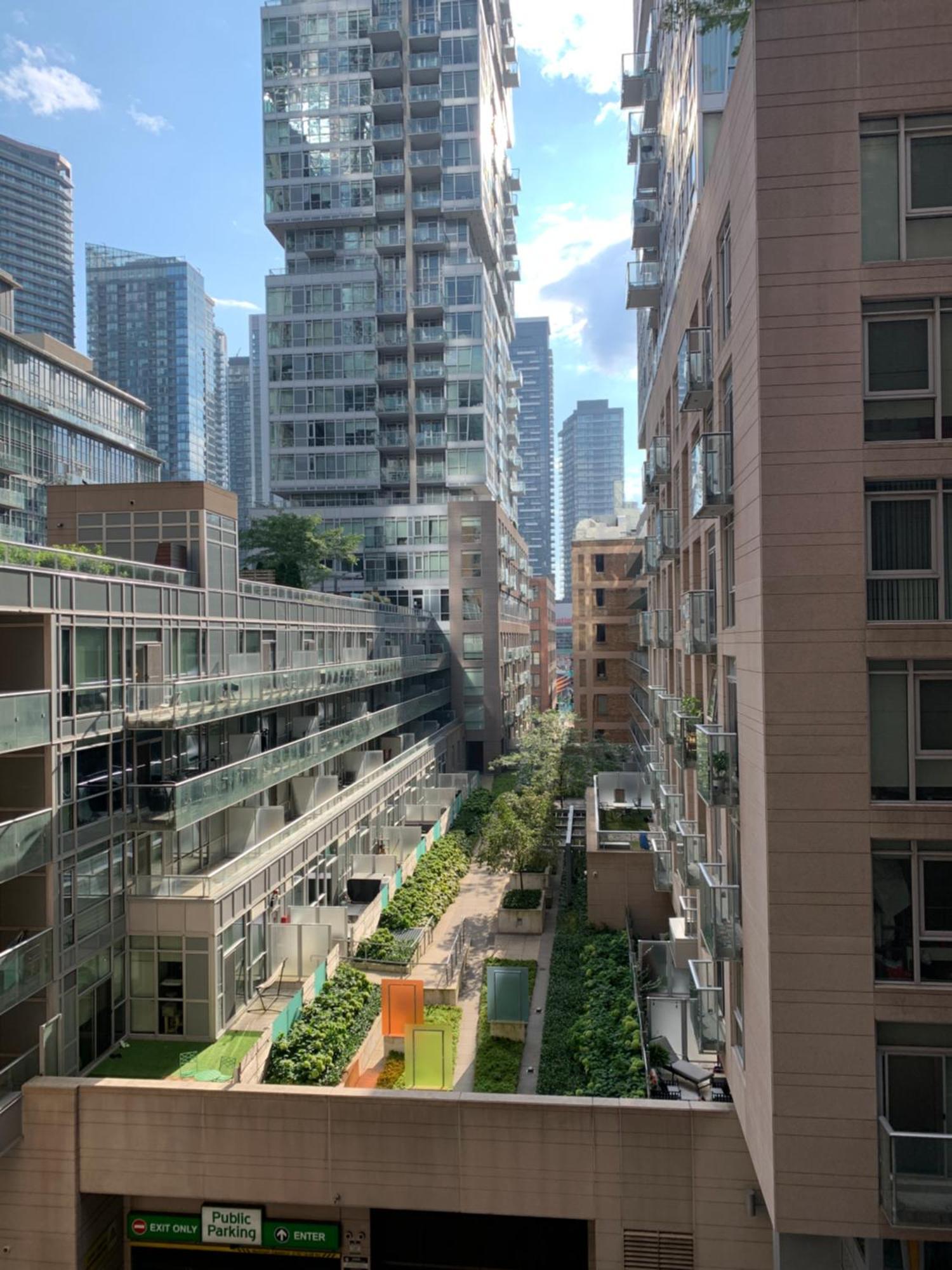 Boutique Suite Of Downtown Toronto Dış mekan fotoğraf